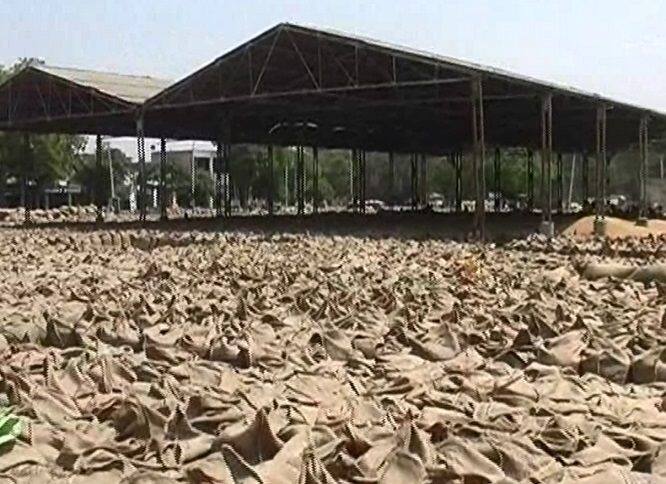 lifting of wheat halted in Faridkot ਸਿਆਸਤਦਾਨਾਂ ਦੀ ਰੰਜਿਸ਼ ਨੇ ਮੰਡੀਆਂ 'ਚ ਰੋਲ਼ੇ ਕਿਸਾਨ