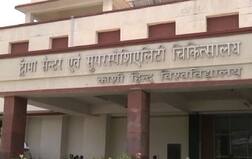 ਮੋਦੀ ਦੇ ਹਲਕੇ 'ਚ ਚੂਹਿਆਂ ਦਾ ਕਹਿਰ, 20 ਲੱਖ ਦਾ ਰਗੜਾ