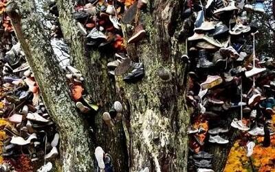 ਯੂਰਪ ਤੇ ਅਮਰੀਕਾ ਵਿੱਚ ਜੁੱਤੀਆਂ ਨੂੰ ਰੁੱਖਾਂ ’ਤੇ ਟੰਗਣ ਨੂੰ ਫਰਟੀਲਿਟੀ ਨਾਲ ਜੋੜ ਕੇ ਵੇਖਿਆ ਜਾਂਦਾ ਹੈ। ਇੱਥੇ ਲੋਕਾਂ ਨੂੰ ਅਸਲ ਰਿਵਾਜ਼ ਤਾਂ ਨਹੀਂ ਪਤਾ ਪਰ ਇਹ ਲੋਕ ਸੈਕਸ ਲਾਈਫ਼ ਠੀਕ ਨਾ ਹੋਣ ’ਤੇ ਆਪਣੀ ਜੁੱਤੀ ਰੁੱਖ ’ਤੇ ਟੰਗ ਦਿੰਦੇ ਹਨ। 