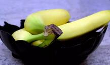 ਬਹੁਤੇ ਲੋਕ ਨਹੀਂ ਜਾਣਦੇ ਛੋਟੇ ਕੇਲਿਆਂ ਦੇ ਫਾਇਦੇ