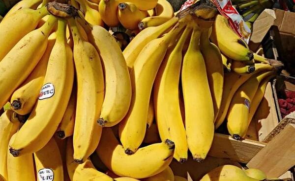 ਇਹ ਵਿਟਾਮਿਨ ਸੀ ਭਰਪੂਰ ਹੁੰਦੇ ਹਨ। ਇਸ ਵਿੱਚ ਕਾਰਬੋਹਾਈਡਰੇਟਸ ਵੀ ਕਾਫ਼ੀ ਮਾਤਰਾ ’ਚ ਹੁੰਦੇ ਹਨ।