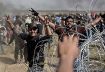 ਫਲਸਤੀਨੀ ਨਾਗਰਿਕਾਂ ਵੱਲੋਂ ਪੰਜਵੇਂ ਹਫ਼ਤੇ ਵੀ ਪ੍ਰਦਰਸ਼ਨ ਜਾਰੀ, ਹੁਣ ਤਕ 40 ਮੌਤਾਂ