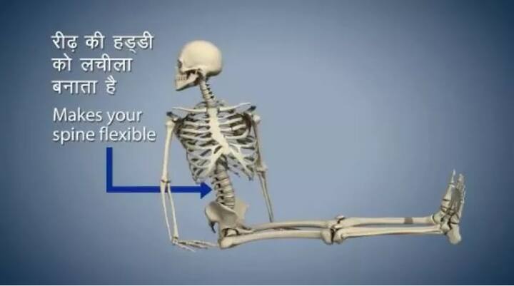ਵਕਰ-ਆਸਨ ਰੀੜ੍ਹ ਦੀ ਹੱਡੀ ਨੂੰ ਲਚੀਲਾ ਬਣਾਉਂਦਾ ਹੈ। 