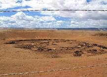 ਅਮਰੀਕਾ ’ਚ ਸੋਕੇ ਤੇ ਭੁੱਖਮਰੀ ਦਾ ਕਹਿਰ, 200 ਘੋੜਿਆਂ ਦੀ ਮੌਤ