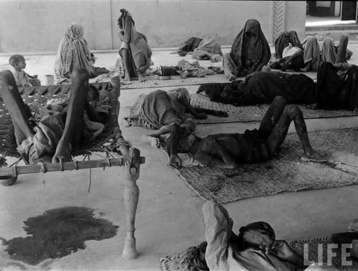 ਊਜਾੜੇ ਸਮੇਂ ਲੋਕਾਂ ਦੀ ਦਰਦ ਦੀ ਕਹਾਣੀ ਇਨ੍ਹਾਂ ਤਸਵੀਰਾਂ ਵਿੱਚੋਂ ਸਾਫ਼-ਸਾਫ਼ ਨਜ਼ਰ ਆਉਂਦੀ ਹੈ। 