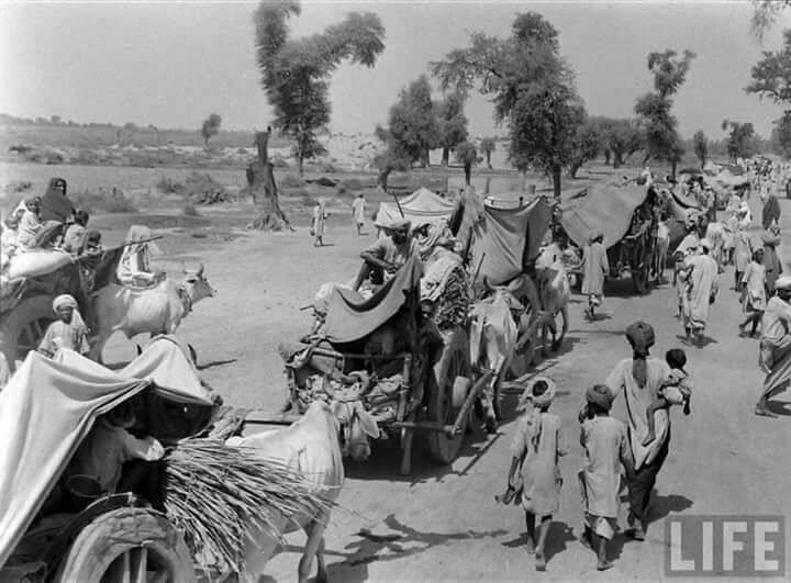 ਵੇਖੋ ਹੋਰ ਤਸਵੀਰਾਂ...