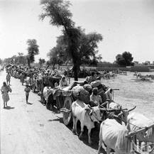 1947 ਵੰਡ ਦੀ ਦਰਦਨਾਕ ਕਹਾਣੀ ਬਿਆਨ ਕਰਦੀਆਂ ਤਸਵੀਰਾਂ