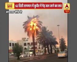 62 ਡਿਗਰੀ ਦੀ ਗਰਮੀ ਨਾਲ ਸੜ ਗਏ ਖੜ੍ਹੇ ਦਰਖ਼ਤ ? ਜਾਣੋ ਸੱਚ