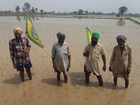 ਕਿਸਾਨਾਂ ਨੇ ਠੁਕਰਾਇਆ ਸਰਕਾਰੀ ਫਰਮਾਨ, ਝੋਨੇ ਦੀ ਲੁਆਈ ਵਿੱਢੀ ਕਿਸਾਨਾਂ ਨੇ ਠੁਕਰਾਇਆ ਸਰਕਾਰੀ ਫਰਮਾਨ, ਝੋਨੇ ਦੀ ਲੁਆਈ ਵਿੱਢੀ
