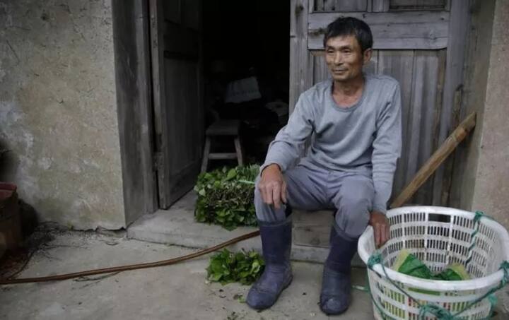  ਲਿਨ ਨੇ ਦੱਸਿਆ ਕਿ ਜਦੋਂ ਪਿੰਡ ਵਿੱਚੋਂ ਸਾਰੇ ਲੋਕ ਚਲੇ ਗਏ ਸੀ ਤਾਂ ਉਨ੍ਹਾਂ ਪੱਤਾ ਗੋਭੀ, ਤੁਲਸੀ, ਫੁੱਲਗੋਭੀ ਲਾਉਣ ਦੀ ਸ਼ੁਰੂਆਤ ਕੀਤੀ ਸੀ। ਉਹ 1300 ਵਰਗ ਮੀਟਰ ’ਚ ਖੇਤੀ ਕਰਦੇ ਹਨ। ਉਨ੍ਹਾਂ ਦੱਸਿਆ ਕਿ ਕੁਝ ਲੋਕਾਂ ਨੂੰ ਡਰ ਲੱਗਦਾ ਹੈ ਤੇ ਉਹ ਕਹਿੰਦੇ ਹਨ ਕਿ ਇੱਥੇ ਭੂਤ ਪਰੇਤ ਰਹਿੰਦੇ ਹਨ।