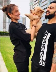 ਕੁੱਤੇ ਨਾਲ ਚੋਹਲ-ਮੋਹਲ ਕਰਦੀ ਅਨੁਸ਼ਕਾ \'ਤੇ ਵਿਰਾਟ ਦਾ \'ਰੀਐਕਸ਼ਨ\'