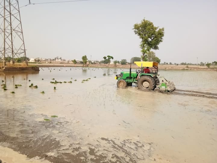 ਦੂਜੇ ਪਾਸੇ ਕਿਸਾਨਾਂ ਦਾ ਕਹਿਣਾ ਹੈ ਕਿ ਪਿਛੇਤਾ ਝੋਨਾ ਕਿਸਾਨਾਂ ਨੂੰ ਵੱਡਾ ਘਾਟਾ ਪਾਉਂਦਾ ਹੈ। ਇਸ ਦਾ ਅਗਲੀ ਫਸਲ ਦੇ ਝਾੜ ਉੱਪਰ ਵੀ ਅਸਰ ਪੈਂਦਾ ਹੈ। ਕਿਸਾਨ ਆਗੂਆਂ ਨੇ ਚਿਤਾਵਨੀ ਦਿੱਤੀ ਹੈ ਕਿ ਕਿਸਾਨਾਂ ਦਾ ਝੋਨਾ ਵਾਹੁਣ ਵਾਲੇ ਅਧਿਕਾਰੀਆਂ ਦਾ ਸਖ਼ਤ ਵਿਰੋਧ ਕਰਨ ਦੇ ਨਾਲ ਉਨ੍ਹਾਂ ਦਾ ਘਿਰਾਓ ਕੀਤਾ ਜਾਵੇਗਾ।