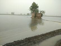 ਬਠਿੰਡਾ ਨੇੜੇ ਨਹਿਰ \'ਚ ਪਿਆ ਪਾੜ, ਸੈਂਕੜੇ ਏਕੜ \'ਚ ਪਾਣੀ ਭਰਿਆ