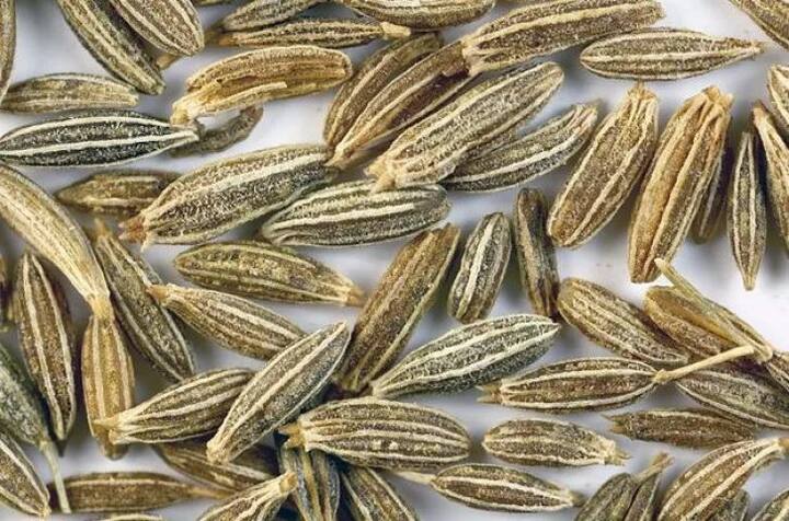 ਇੱਕ ਗਲਾਸ ਪਾਣੀ 'ਚ ਇਕ ਚਮਚ ਜ਼ੀਰਾ ਉਬਾਲ ਕੇ ਸੇਵਨ ਕਰਨ ਨਾਲ ਚਿਹਰੇ ਸਬੰਧੀ ਸਮੱਸਿਆਵਾਂ ਤੋਂ ਛੁਟਕਾਰਾ ਪਾਇਆ ਜਾ ਸਕਦਾ ਹੈ।