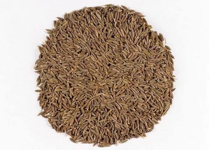 ਇਹ ਰਿਸਰਚ ਦਾ ਦਾਅਵਾ ਹੈ। 'ਏਬੀਪੀ ਸਾਂਝਾ' ਇਸਦੀ ਪੁਸ਼ਟੀ ਨਹੀਂ ਕਰਦਾ। ਕਿਸੇ ਵੀ ਸੁਝਾਅ 'ਤੇ ਗੌਰ ਕਰਨ ਤੋਂ ਪਹਿਲਾਂ ਮਾਹਿਰ ਦੀ ਸਲਾਹ ਲੈ ਲਵੋ।