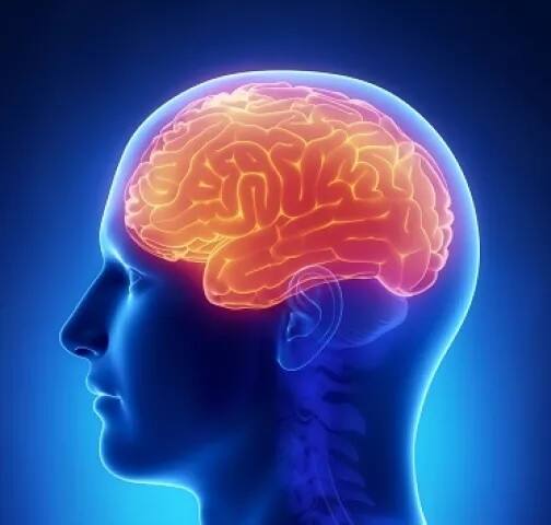 ਖੋਜੀਆਂ ਨੇ ਪਤਾ ਲਾਇਆ ਕਿ ਕਿਸ਼ੋਰ ਅਵਸਥਾ ਦੌਰਾਨ ਜ਼ਿਆਦਾ ਸ਼ਰਾਬ ਦਿਮਾਗ ਦੇ ਪੀਐਫਸੀ ਪਾਇਰਾਮਿਡਲ ਨਿਊਰਾਨਜ਼ ਦੇ ਗੁਣਾਂ ਵਿੱਚ ਬਦਲਾਅ ਆ ਜਾਂਦਾ ਹੈ ਜੋ ਪੀਐਫਸੀ ਨੂੰ ਦਿਮਾਗ਼ ਦੇ ਹੋਰ ਹਿੱਸਿਆਂ ਨਾਲ ਜੋੜਦਾ ਹੈ। ਸ਼ਰਾਬ ਨਾਲ ਦਿਮਾਗ਼ ਦਾ ਇਹ ਗੁਣ ਪ੍ਰਭਾਵਿਤ ਹੁੰਦਾ ਹੈ। ਇਸ ਨਾਲ ਕਿਸ਼ੋਰ ਦੇ ਵਿਹਾਰ ਵਿੱਚ ਵੀ ਅਸਰ ਪੈਂਦਾ ਹੈ। 