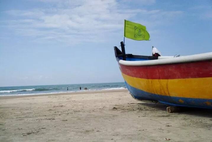  ਦੋ ਵੱਖ-ਵੱਖ ਮਾਮਲਿਆਂ ਵਿੱਚ 17 ਜੂਨ ਨੂੰ ਸੈਲਫੀ ਲੈਂਦਿਆਂ ਤਾਮਿਲਨਾਡੂ ਦੇ ਦੋ ਸੈਲਾਨੀਆਂ ਦੀ ਮੌਤ ਹੋ ਗਈ ਸੀ। ਇਸ ਘਟਨਾ ਦੇ ਬਾਅਦ ਹੀ ਨੋ ਸੈਲਫੀ ਜ਼ੋਨ ਬਣਾਉਣ ਦੀ ਪ੍ਰਕਿਰਿਆ ਤੇਜ਼ ਕੀਤੀ ਜਾ ਰਹੀ ਹੈ।