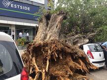 ਗੱਡੀ ਪਾਰਕ ਕਰ ਸ਼ੋਅ ਰੂਮ \'ਚ ਹੀ ਗਿਆ ਸੀ ਪਰਿਵਾਰ ਕਿ ਅਗਲੇ ਮਿੰਟ ਵਾਪਰਿਆ ਇਹ ਹਾਦਸਾ