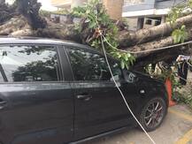 ਗੱਡੀ ਪਾਰਕ ਕਰ ਸ਼ੋਅ ਰੂਮ \'ਚ ਹੀ ਗਿਆ ਸੀ ਪਰਿਵਾਰ ਕਿ ਅਗਲੇ ਮਿੰਟ ਵਾਪਰਿਆ ਇਹ ਹਾਦਸਾ