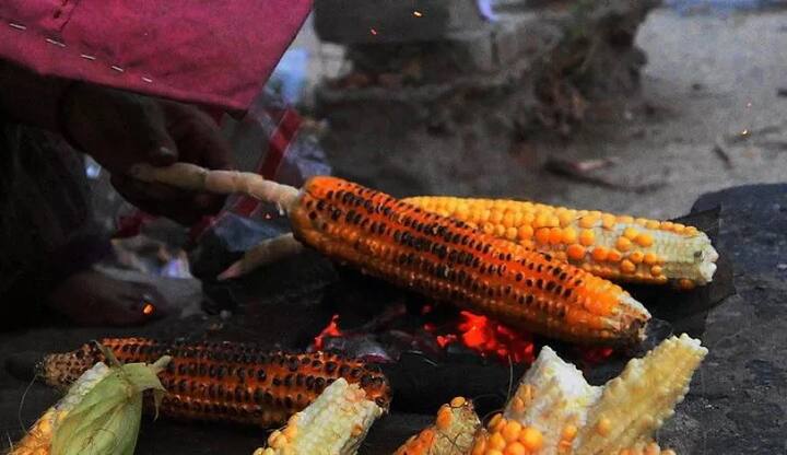 ਇਹ ਖੋਜ ਦਾ ਦਾਅਵਾ ਹੈ। 'ਏਬੀਪੀ ਸਾਂਝਾ' ਇਸਦੀ ਕੋਈ ਪੁਸ਼ਟੀ ਨਹੀਂ ਕਰਦਾ। ਕਿਸੇ ਵੀ ਸੁਭਾਅ 'ਤੇ ਗੌਰ ਕਰਨ ਤੋਂ ਪਹਿਲਾਂ ਮਾਹਿਰ ਦੀ ਸਲਾਹ ਲੈ ਲਵੋ।