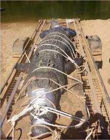 ਆਸਟਰੇਲੀਆ \'ਚ ਲੱਭਿਆ 600 ਕਿੱਲੋ ਦਾ ਮਗਰਮੱਛ! ਵੇਖੋ ਤਸਵੀਰਾਂ