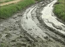 ਗੋਦ ਲਏ ਪਿੰਡ ਦੇ ਲੋਕ ਸਭ ਤੋਂ ਵੱਧ ਸੰਸਦ ਮੈਂਬਰ ਤੋਂ ਹੀ ਦੁਖੀ !