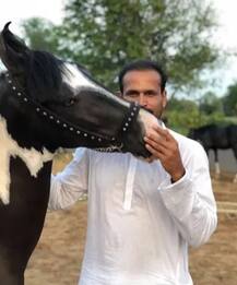 ਘੋੜਿਆਂ ਦਾ ਆਸ਼ਕ ਯੂਸਫ ਪਠਾਨ, ਦੋਵਾਂ \'ਚ ਪਿਆਰ ਦੀ ਸਾਂਝ