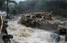 ਕੇਰਲ \'ਚ ਹੜ੍ਹਾਂ ਦੀ ਤਬਾਹੀ, 187 ਮੌਤਾਂ, ਕਈ ਲੋਕ ਲਾਪਤਾ