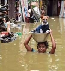 ਕੇਰਲ \'ਚ ਹੜ੍ਹਾਂ ਦੀ ਤਬਾਹੀ, 187 ਮੌਤਾਂ, ਕਈ ਲੋਕ ਲਾਪਤਾ