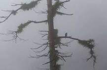 ਦੇਸ਼ ਭਰ ’ਚ ਬਾਰਸ਼, ਕਿਤੇ ਮਸਤੀ ਤੇ ਕਿਤੇ ਮੁਸੀਬਤ