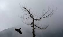 ਦੇਸ਼ ਭਰ ’ਚ ਬਾਰਸ਼, ਕਿਤੇ ਮਸਤੀ ਤੇ ਕਿਤੇ ਮੁਸੀਬਤ