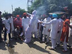 ਬਕਾਏ ਲਈ ਮੁੜ ਸੜਕਾਂ 'ਤੇ ਉੱਤਰੇ ਗੰਨਾ ਕਾਸ਼ਤਕਾਰ