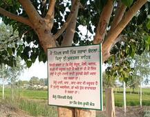 ਮੈਨੂੰ ਜ਼ਿੰਦਗੀ ਦਿਓ, ਨਾ ਕਿ ਤੇਲ ਰੂਪੀ ਮੌਤ...