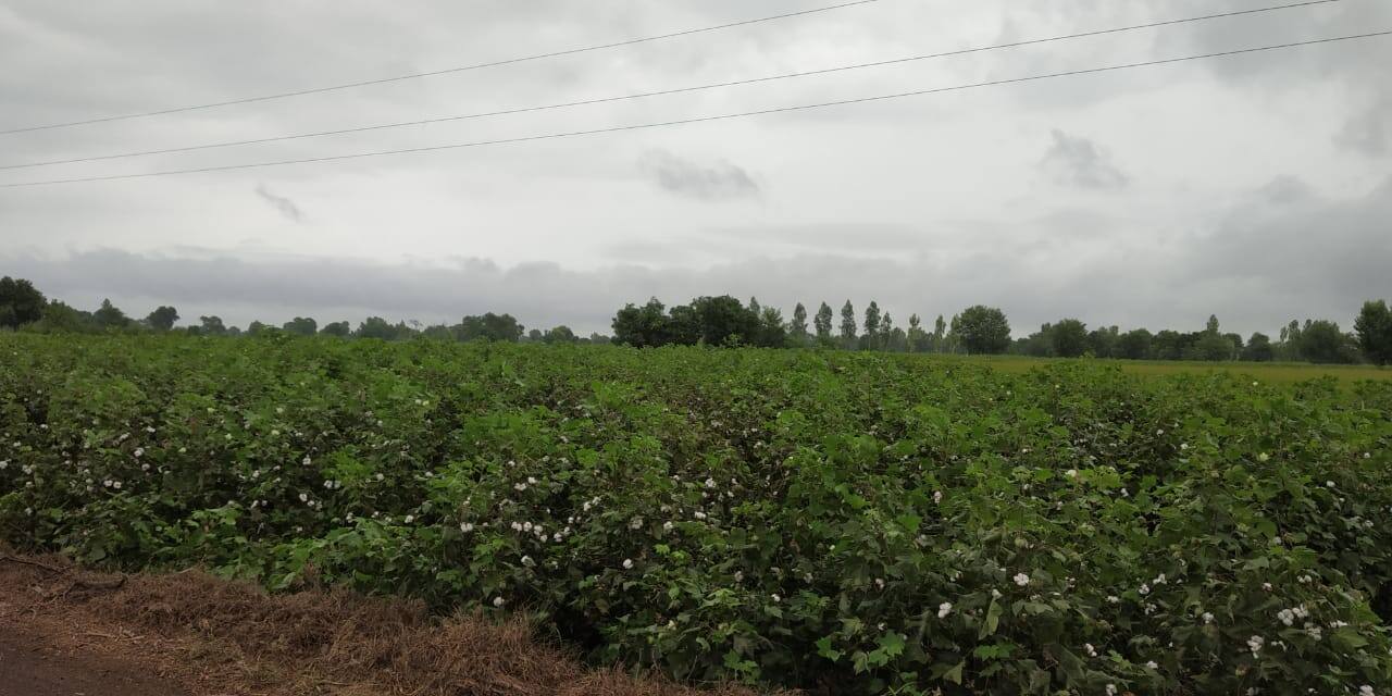 ਸੱਤ ਸਾਲ ਬਾਅਦ ਬਦਲਿਆ ਮਾਨਸੂਨ ਦਾ ਮਿਜਾਜ਼