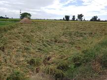 ਬਾਰਸ਼ ਨੇ ਮਚਾਈ ਤਬਾਹੀ, ਵੇਖੋ ਤਸਵੀਰਾਂ