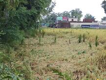 ਬਾਰਸ਼ ਨੇ ਮਚਾਈ ਤਬਾਹੀ, ਵੇਖੋ ਤਸਵੀਰਾਂ