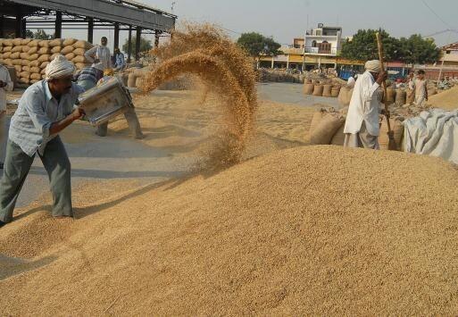 amritsar preparations for paddy buying in Amritsar mandi  ਝੋਨੇ ਦੀ ਸਰਕਾਰੀ ਖਰੀਦ ਕੱਲ੍ਹ ਤੋਂ, ਵੇਖ ਲਓ ਮੰਡੀਆਂ ਦਾ ਹਾਲ!