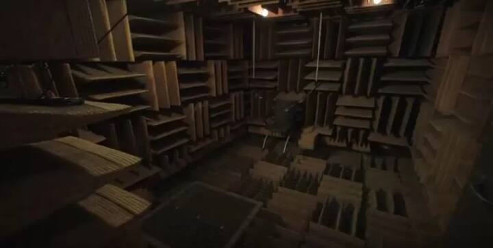 ਕਮਰਾ ਇੰਨਾ ਸ਼ਾਂਤ ਹੈ ਕਿ ਦਿਲ ਦੀ ਧੜਕਣ ਵੀ ਆਸਾਨੀ ਨਾਲ ਸੁਣੀ ਜਾ ਸਕਦੀ ਹੈ। ਕਈ ਵਾਰ ਆਪਣੇ ਫੇਫੜਿਆਂ ਦੀ ਆਵਾਜ਼, ਪੇਟ ਦੇ ਗਰਾਰੇ ਤੇ ਹੋਰ ਸਰੀਰਕ ਕਿਰਿਆਵਾਂ ਦੀ ਆਵਾਜ਼ ਵੀ ਸੁਣੀ ਜਾ ਸਕਦੀ ਹੈ। ਆਮ ਲੋਕਾਂ ਨੂੰ ਇਹ ਥਾਂ ਵਿਚਲਿਤ ਕਰ ਦਿੰਦੀ ਹੈ।