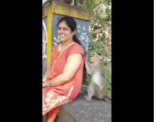 ਜਦੋਂ ਬਾਂਦਰ ਨੇ ਬੜੇ ਪਿਆਰ ਨਾਲ ਸੰਵਾਰੇ ਔਰਤ ਦੇ ਵਾਲ, ਸ਼ਿਮਲਾ ਤੋਂ ਆਈਆਂ ਤਸਵੀਰਾਂ