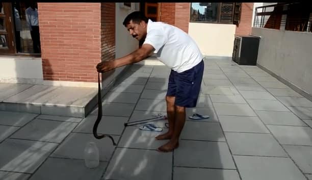 ਜਦੋਂ ਸੁਪੇਰਾ ਸਕੂਲ ਵਿੱਚ ਪੁੱਜਾ ਤਾਂ ਸੁਰਿੰਦਰ ਦੀ ਬਹਾਦਰੀ ਵੇਖ ਕੇ ਦੰਗ ਰਹਿ ਗਿਆ। ਇਸ ਪਿੱਛੋਂ ਸੁਪੇਰੇ ਨੇ ਉਸ ਨੂੰ ਸੱਪ ਫੜਨਾ ਤੇ ਉਸ ਦਾ ਜ਼ਹਿਰ ਉਤਾਰਨਾ ਵੀ ਸਿਖਾ ਦਿੱਤਾ।