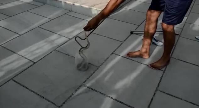 ਇਸ ਸਬੰਧੀ ਸੁਰਿੰਦਰ ਨੇ ਦੱਸਿਆ ਕਿ ਸੱਪ ਨੂੰ ਆਪਣੇ ਵੱਸ ਵਿੱਚ ਕਰਨਾ ਇੱਕ ਸਾਧਨਾ ਹੈ। ਬਚਪਨ ਵਿੱਚ ਇੱਕ ਮੁਸਲਿਮ ਸੁਪੇਰੇ ਨੇ ਉਸ ਨੂੰ ਇਹ ਸਿੱਖਿਆ ਦਿੱਤੀ ਸੀ। ਉਸ ਨੇ ਕਿਹਾ ਕਿ ਉਹ ਆਪਣੀ ਧੀ ਨੂੰ ਵੀ ਇਹ ਕਲਾ ਸਿਖਾਉਣਗੇ ਤਾਂ ਕਿ ਉਨਸ ਪਿੱਛੋਂ ਉਸ ਦੀ ਧੀ ਲੋਕਾਂ ਦੀ ਸੇਵਾ ਕਰ ਸਕੇ।