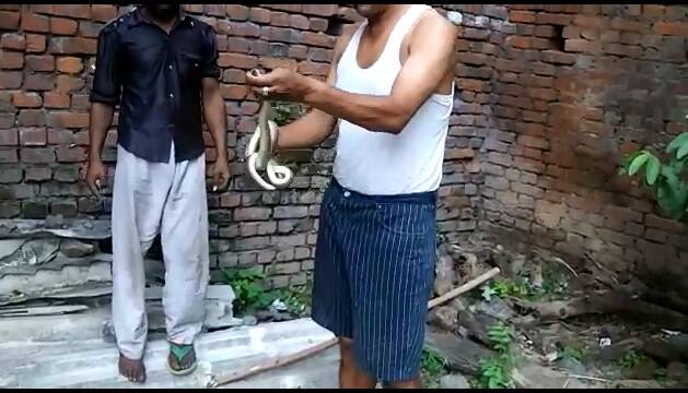 ਦੱਸਣਯੋਗ ਹੈ ਕਿ ਸੁਰਿੰਦਰ ਨੇ ਇਸ ਕਲਾ ਦੇ ਨਾਲ-ਨਾਲ ਖੇਡਾਂ ਵਿੱਚ ਵੀ ਚੰਗਾ ਨਾਮਣਾ ਖੱਟਿਆ ਹੈ। ਉਹ ਐਥਲੈਟਿਕਸ ਤੇ ਹਾਕੀ ਦਾ ਕੋਚ ਹੈ ਜਦਕਿ ਮਾਰਸ਼ਲ ਆਰਟ ਵਿੱਚ ਉਸ ਨੂੰ ਬਲੈਕ ਬੈਲਟ ਹਾਸਲ ਹੈ।