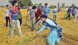 ਪਰਾਲ਼ੀ ਨਾ ਸਾੜ ਕੇ ਕਿਸਾਨਾਂ ਨੇ ਕਮਾਏ 11 ਕਰੋੜ