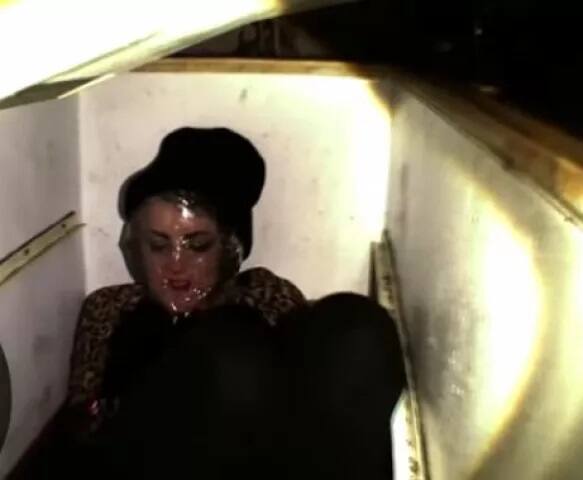 ਘਰ ਅੰਦਰ ਜਾਣ ਲਈ ਕਿਸੇ ਤਰ੍ਹਾਂ ਦੀ ਫੀਸ ਨਹੀਂ ਦੇਣੀ ਪੈਂਦੀ। ਜੇ ਲੋਕਾਂ ਨੂੰ ਇੱਥੇ ਚੰਗਾ ਲੱਗਦਾ ਹੈ ਤਾਂ ਉਹ ਖ਼ੁਦ ਮਕਾਨ ਮਾਲਕ ਮੈਕੇਮੀ ਦੇ ਕੁੱਤਿਆਂ ਦੇ ਖਾਣ ਲਈ ਦਾਨ ਕਰ ਜਾਂਦੇ ਹਨ। ਮੈਕੇਮੀ ਕੁੱਤਿਆਂ ਨਾਲ ਬਹੁਤ ਪਿਆਰ ਕਰਦਾ ਹੈ।