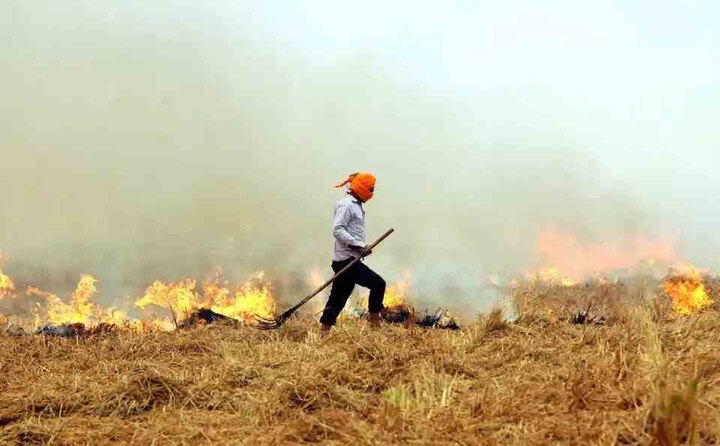 Stubble burning issue in punjab, govt submit plan in supreme court ਪਰਾਲੀ ਸਾੜਨ ਦੇ ਮੁੱਦੇ 'ਤੇ ਪੰਜਾਬ ਤੇ ਹਰਿਆਣਾ ਨੇ ਸੁਪਰੀਮ ਕੋਰਟ 'ਚ ਰੱਖਿਆ ਪੱਖ