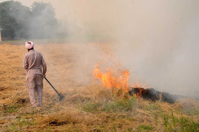 fatehgarh sahib dc confirmed 300 cases of stubble burning in district  ਕਿਸਾਨਾਂ ਨੂੰ ਨਹੀਂ ਕਿਸੇ ਦਾ ਡਰ, ਫਤਹਿਗੜ੍ਹ ਸਾਹਿਬ 'ਚ 300 ਕਿਸਾਨਾਂ ਨੇ ਸਾੜੀ ਪਰਾਲੀ