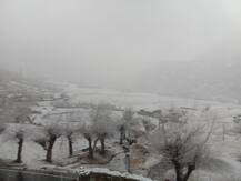 ਹਿਮਾਚਲ ਤੇ ਕਸ਼ਮੀਰ ’ਚ ਬਰਫ਼ਬਾਰੀ ਨੇ ਛੇੜਿਆ ਕਾਂਬਾ