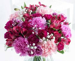 ਇਸ ਦੇਸ਼ ‘ਚ ਟੈਕਸ ਕਟੌਤੀ ‘ਚ ਗ਼ਲਤੀ ‘ਤੇ ਵਿਭਾਗ ਲੋਕਾਂ ਤੋਂ ਇੰਝ ਮੰਗਦਾ ਮੁਆਫ਼ੀ