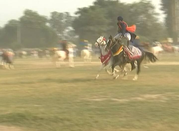 ਨਿਹੰਗ ਸਿੰਘਾਂ ਨੇ ਘੋੜਿਆਂ ਉੱਪਰ ਸਵਾਰ ਹੋ ਅਤੇ ਗੱਤਕੇ ਦੇ ਹੈਰਾਨੀਜਨਕ ਕਰਤੱਬ ਦਿਖਾਏ। 