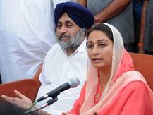 ਹੁਣ ਹਰਸਿਮਰਤ ਬਾਦਲ ਦੇਣਗੇ ਅਸਤੀਫਾ? ਠਿੱਠ ਹੋਣ ਮਗਰੋਂ ਅਕਾਲੀ ਦਲ ਦੇ ਤੇਵਰ ਵਿਗੜੇ